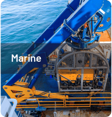 Marine