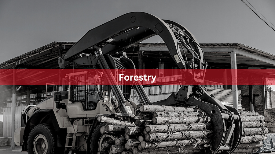 Forestry